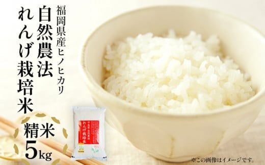 《先行予約》令和8年産 れんげ米 れんげ農法栽培米「ヒノヒカリ」（精米・5kg）新米 BI01