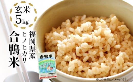 【先行予約】 令和8年産 合鴨米「ヒノヒカリ」（玄米・5kg） BI03