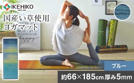 畳ヨガＥＣＯ ｓｋｙｓｅａ （６６×１８５）（ブルー） AA065