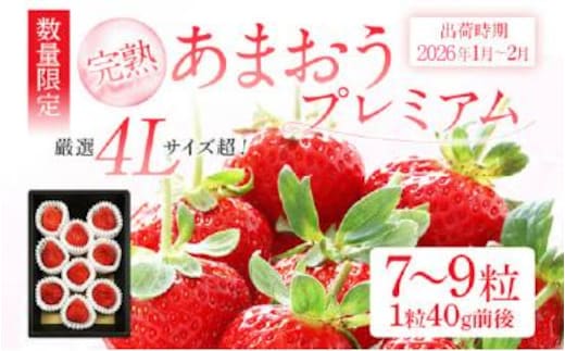 あまおうプレミアム ※2026年1月～2月頃発送予定 BD02