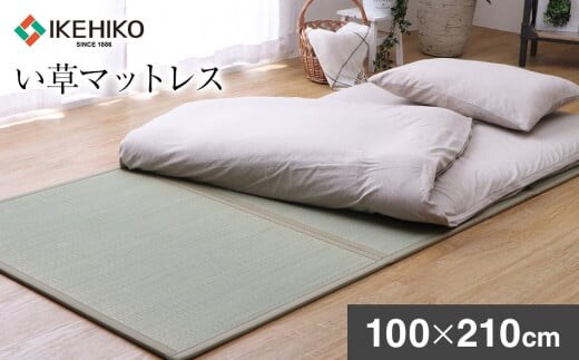 い草マットレス （100×210） AA038