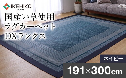 ＤＸランクス（191×300）（色：ネイビー） AA175