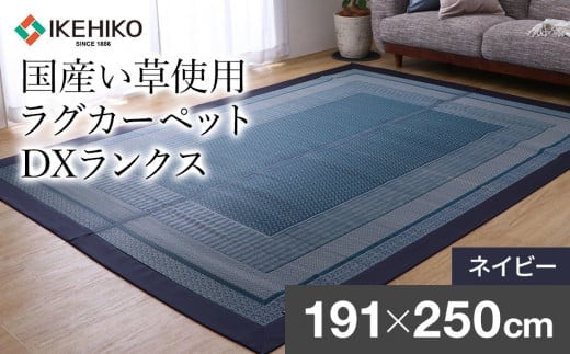 ＤＸランクス（191×250）（色：ネイビー） AA157