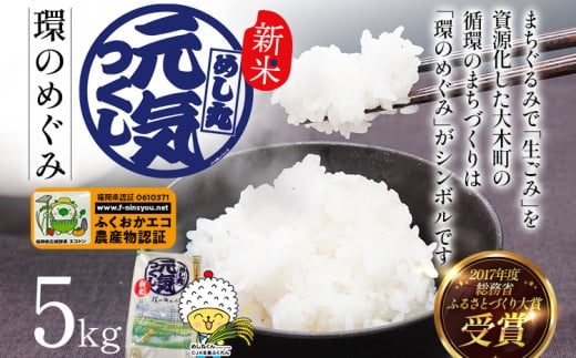 令和7年度米 特別栽培米「環のめぐみ」 精米5kg おすすめ 福岡県 大木町 AI001-1