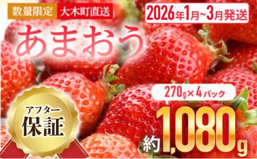 【アフター保証】いちご あまおう 大木町 約270g×4パック 合計1080g 【2026年1月～3月に順次出荷予定】 イチゴ あかい まるい おおきい うまい CB223