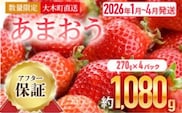 【アフター保証】いちご あまおう 大木町 約270g×4パック 合計1080g 【2026年1月～3月に順次出荷予定】 イチゴ あかい まるい おおきい うまい CB223