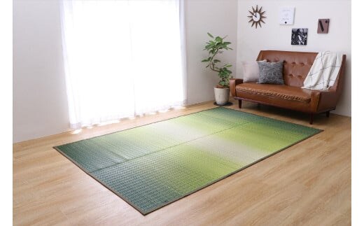 掛川織り福岡花ござ「大自然」草原（3畳 174×261cm） AA309