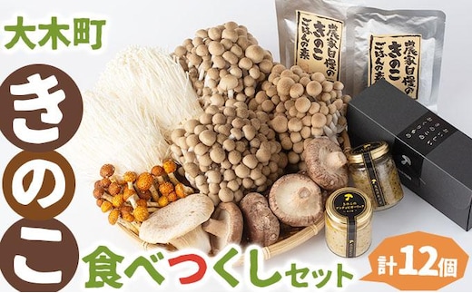 大木町きのこ食べつくしセット AZ03