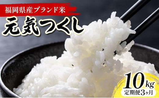 【3ヶ月定期便】福岡県産米 元気つくし 10kg 令和7年産 ※北海道・沖縄・離島は配送不可【精米 7年産 国産 福岡県産 お米 ブランド米 10kg げんきつくし】CY012sub3