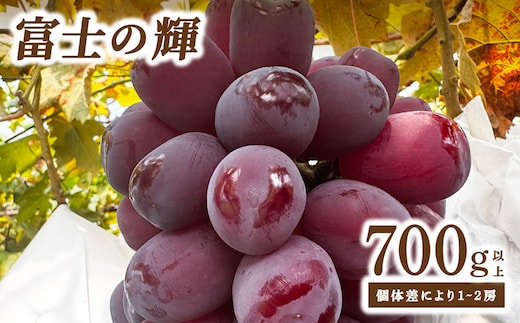 富士の輝（ぶどう） 大木町 フルーツ 果物 宝果FARM DC002