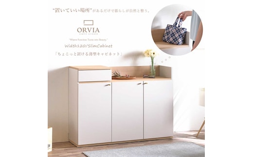 【開梱・設置】リス120 薄型キャビネット 棚 収納 家具 AX178