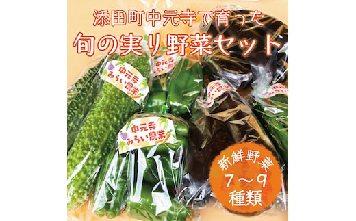 中元寺 旬の実り 野菜 セット(旬の野菜 7～9種類程度) [a9010] 中元寺みらい農業株式会社 ※配送不可：北海道・東北・沖縄・離島【返礼品】添田町 ふるさと納税