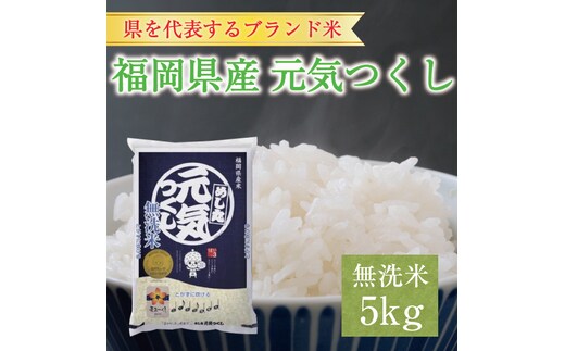 令和6年産 福岡県産元気つくし無洗米5kg(5kg×1) [a7196] 株式会社 藤食糧 【返礼品】添田町 ふるさと納税