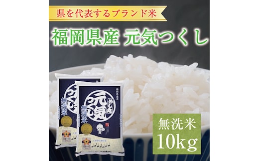 令和6年産 福岡県産元気つくし無洗米10kg(5kg×2) [a7197] 株式会社 藤食糧 【返礼品】添田町 ふるさと納税