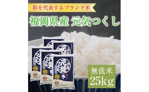 令和6年産 福岡県産元気つくし無洗米25kg(5kg×5) [a7198] 株式会社 藤食糧 【返礼品】添田町 ふるさと納税