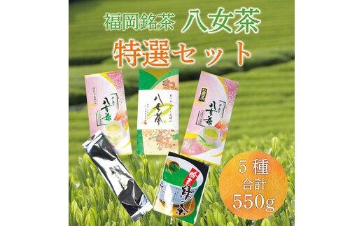 福岡 銘茶 八女茶 特選セット 5種合計550g [a9239] 株式会社マル五 【返礼品】添田町 ふるさと納税