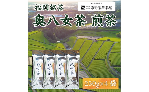 八女茶 1kg(250g×4袋) [a9346] 有限会社原野製茶本舗 【返礼品】添田町 ふるさと納税
