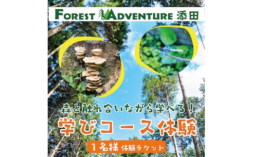 森と触れ合いながら学べる！ワンヘルスコース 1名様体験チケット [a0413] 株式会社 FOREST DEN 【返礼品】添田町 ふるさと納税