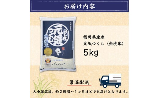 福岡県産 元気つくし 無洗米 5kg(5kg×1) [a0196] 株式会社 藤食糧 【返