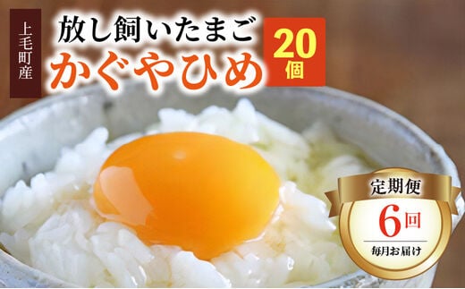【定期便】放し飼いたまご『かぐやひめ』20個 6回（毎月）コース 04T-009