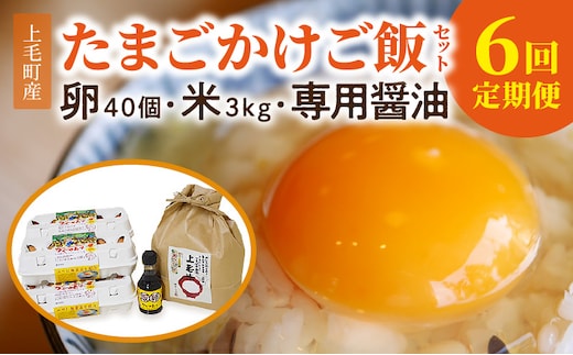【定期便】上毛町産の「たまごかけご飯セット」（卵40個・米3kg・専用醤油）6回（毎月）コース 06T-007