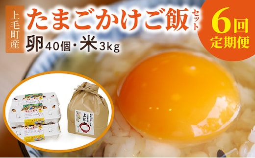 【定期便】上毛町産の「たまごかけご飯セット」（卵40個・米3kg）（専用醤油なし版）6回（毎月）コース 07T-002
