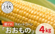 先行受付　朝どれスイートコーン「おおもの」4㎏【産地直送・数量限定】YF0203
