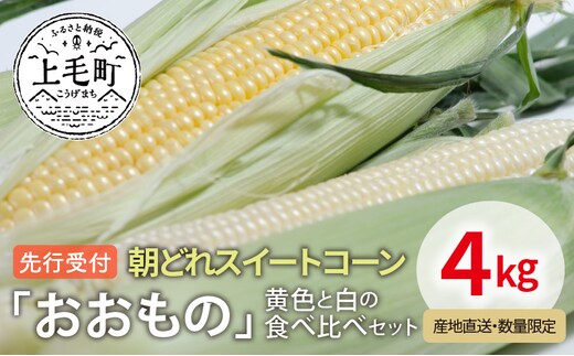 先行受付 朝どれスイートコーン「おおもの」黄色と白の食べ比べセット4kg【産地直送・数量限定】YF0604