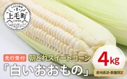 先行受付　朝どれスイートコーン「白いおおもの」4kg【産地直送・数量限定】YF0504