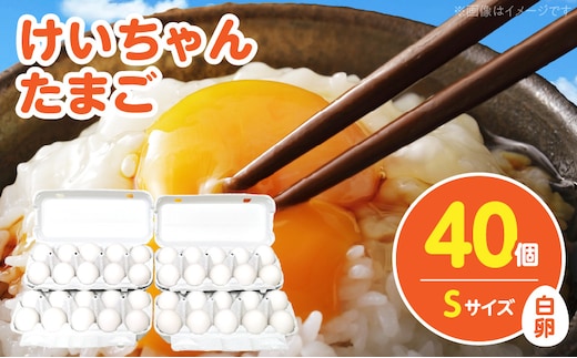 けいちゃんたまご 白 Sサイズ 40個 C00107