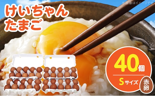 けいちゃんたまご 赤 Sサイズ 40個 C00907