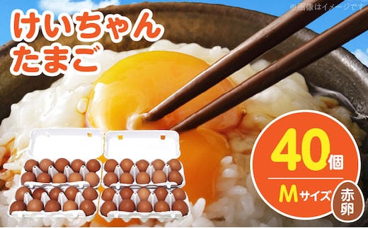 けいちゃんたまご 赤 Mサイズ 40個 C01207
