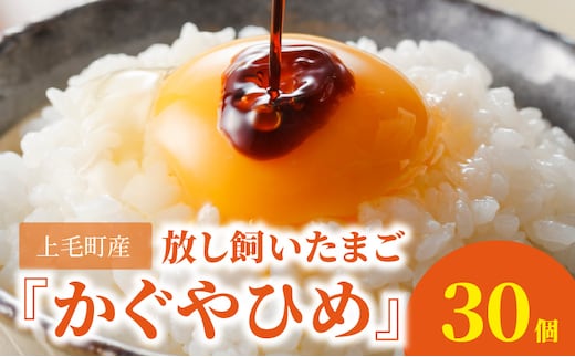 放し飼いたまご『かぐやひめ』30個【福岡上毛町産】 C01706