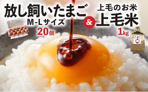 放し飼いたまご「かぐやひめ」20個＆米1kg【福岡上毛町産】 C01906