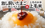 放し飼いたまご「かぐやひめ」20個＆米1㎏【福岡上毛町産】　C01906