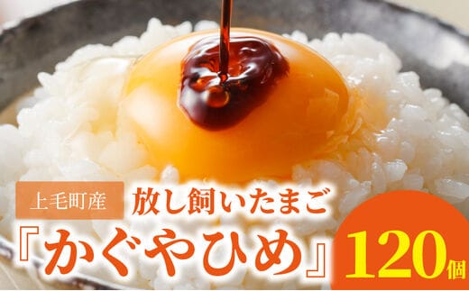 放し飼いたまご『かぐやひめ』120個【福岡上毛町産】 C00701