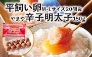 平飼い卵Ｍ～Ｌサイズ20個 ＆やまや辛子明太子150ｇセット【上毛町特別企画】C01202
