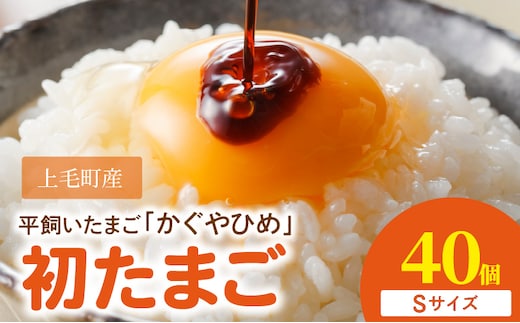 かぐやひめ「初たまご」40個【福岡上毛町産】C01604