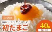 かぐやひめ「初たまご」40個【福岡上毛町産】C01604