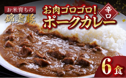 【ブランド豚肉】お米育ちの錦雲豚 お肉ゴロゴロ！ポークカレー（辛口）6食 FN1102
