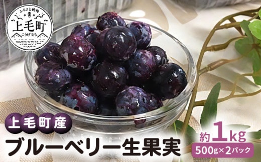 【叶え屋】 上毛町産 ブルーベリー 生果実 500g×2パック K01401