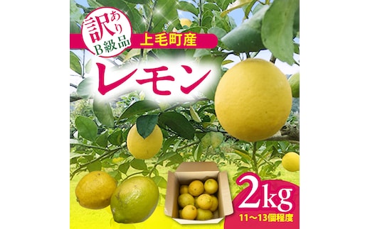 上毛町産レモン 訳ありB級品 2kg K06306