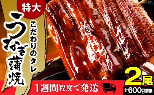 うなぎの蒲焼ビッグサイズ 2尾（計600g前後） K04705
