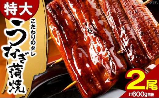 うなぎの蒲焼ビッグサイズ 2尾（計600g前後） K04705