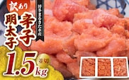 【訳あり】博多まるきた水産 辛子明太子（並切）1.5kg 大容量 KMK0105