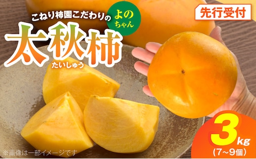 【先行受付】 太秋柿 3kg こねり柿園こだわりの『よのちゃん太秋柿』 KNR0108