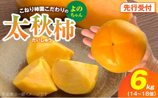 【先行受付】 太秋柿 6kg こねり柿園こだわりの『よのちゃん太秋柿』 KNR0208