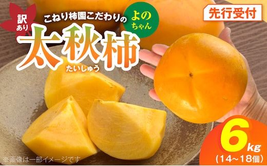 【先行受付】 訳あり 太秋柿 6kg こねり柿園こだわりの『よのちゃん太秋柿』 KNR0408