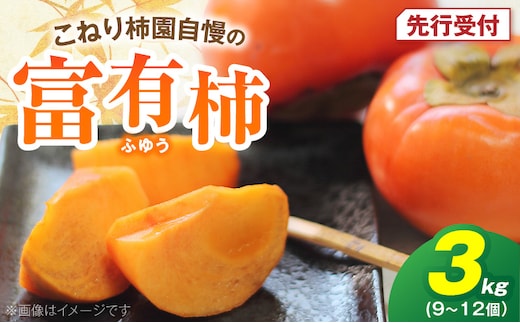 【先行受付】 富有柿 3kg こねり柿園自慢の富有柿 KNR0508