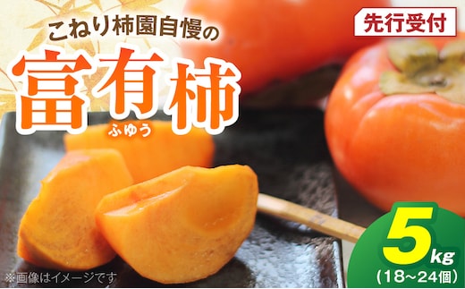 【先行受付】 富有柿 5kg こねり柿園自慢の富有柿 KNR0608